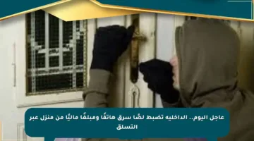 عاجل اليوم.. الداخلية تضبط لصًا سرق هاتفًا ومبلغًا ماليًا من منزل عبر التسلق